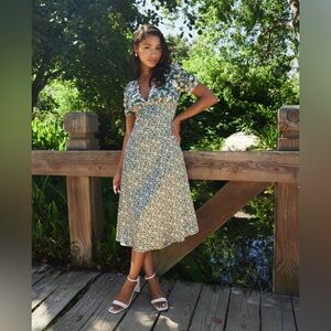 Backyard Roses Kristina Dress NWT